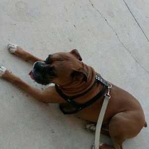 Meet your Posher, Darius